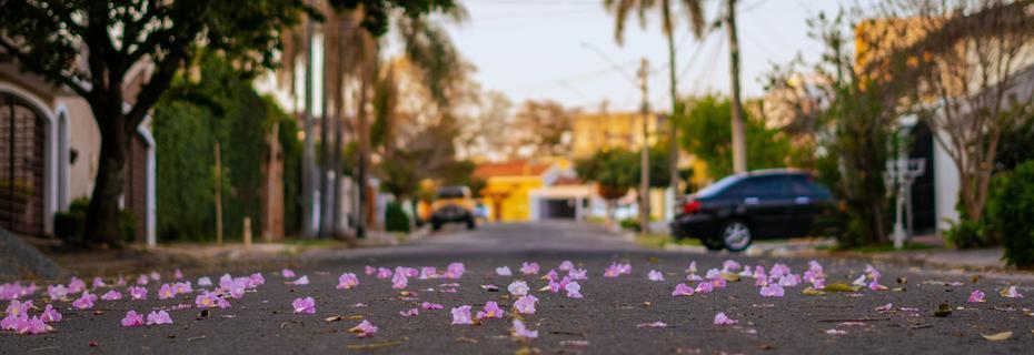 Assessoria para Visto Americano na cidade de Valinhos/SP